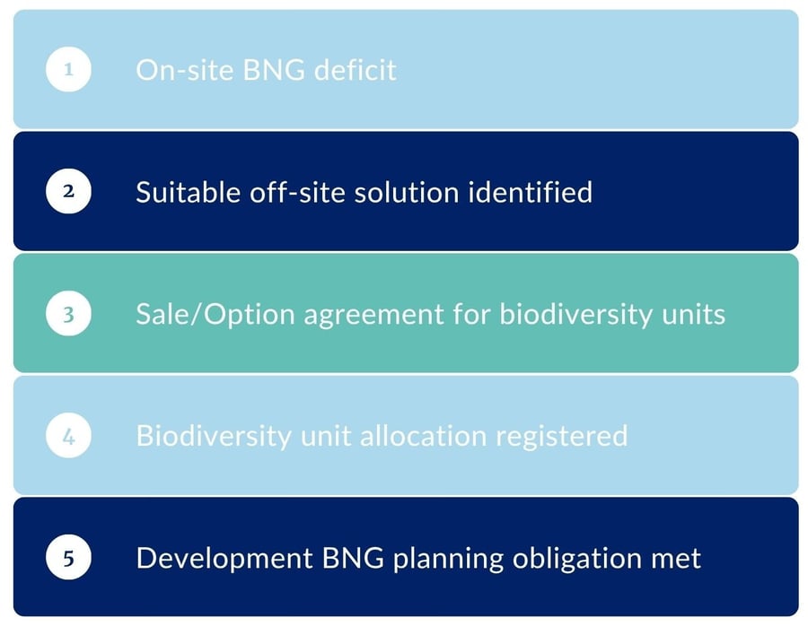 Step by Step Process Chart Visual Charts Presentation in Blue White Teal Simple Style (1)-1